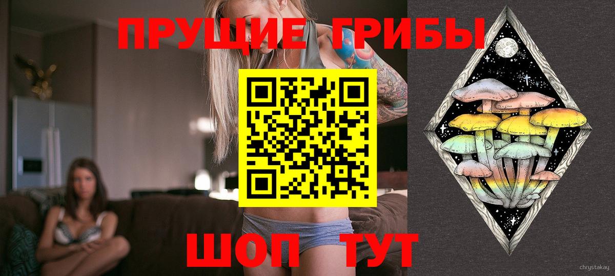 Псилоцибиновые грибы мухоморы Домодедово