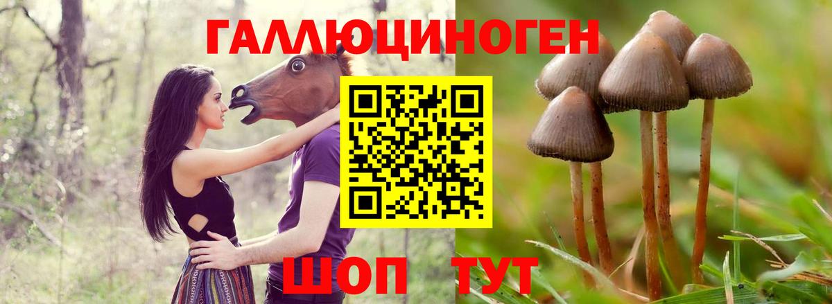 Домодедово  Псилоцибиновые грибы Psilocybe  Псилоцибиновые грибы мухоморы  Вход с VPN 